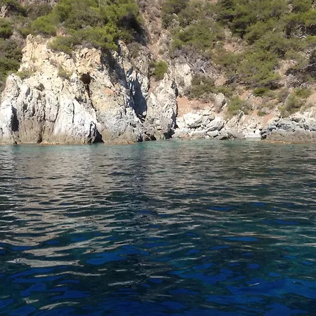 Διαμέρισμα Vue *