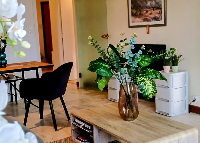 Διαμέρισμα Vue