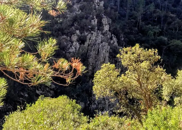 Vue Διαμέρισμα *